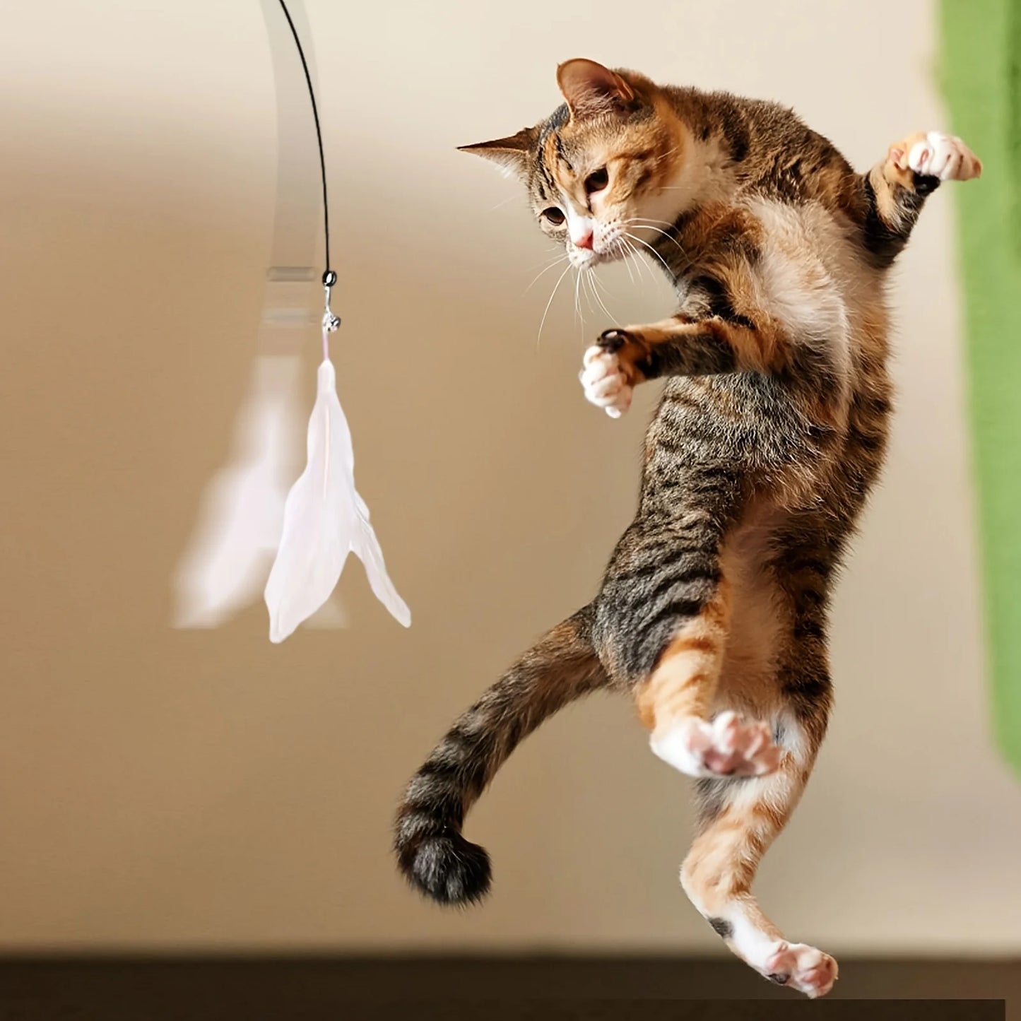 Jouet à plumes pour chat