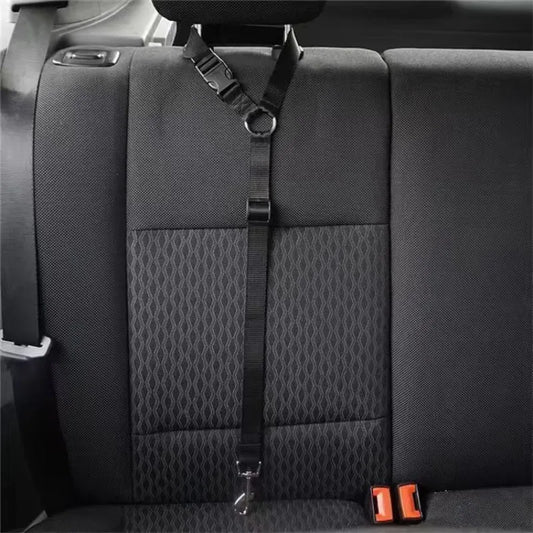 Ceinture de sécurité pour chien