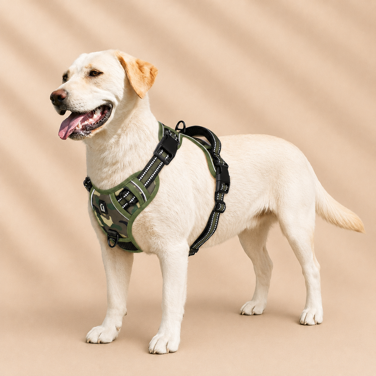 Harnais pour chiens