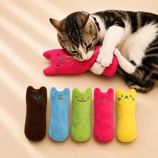 Jouet interactif pour chat