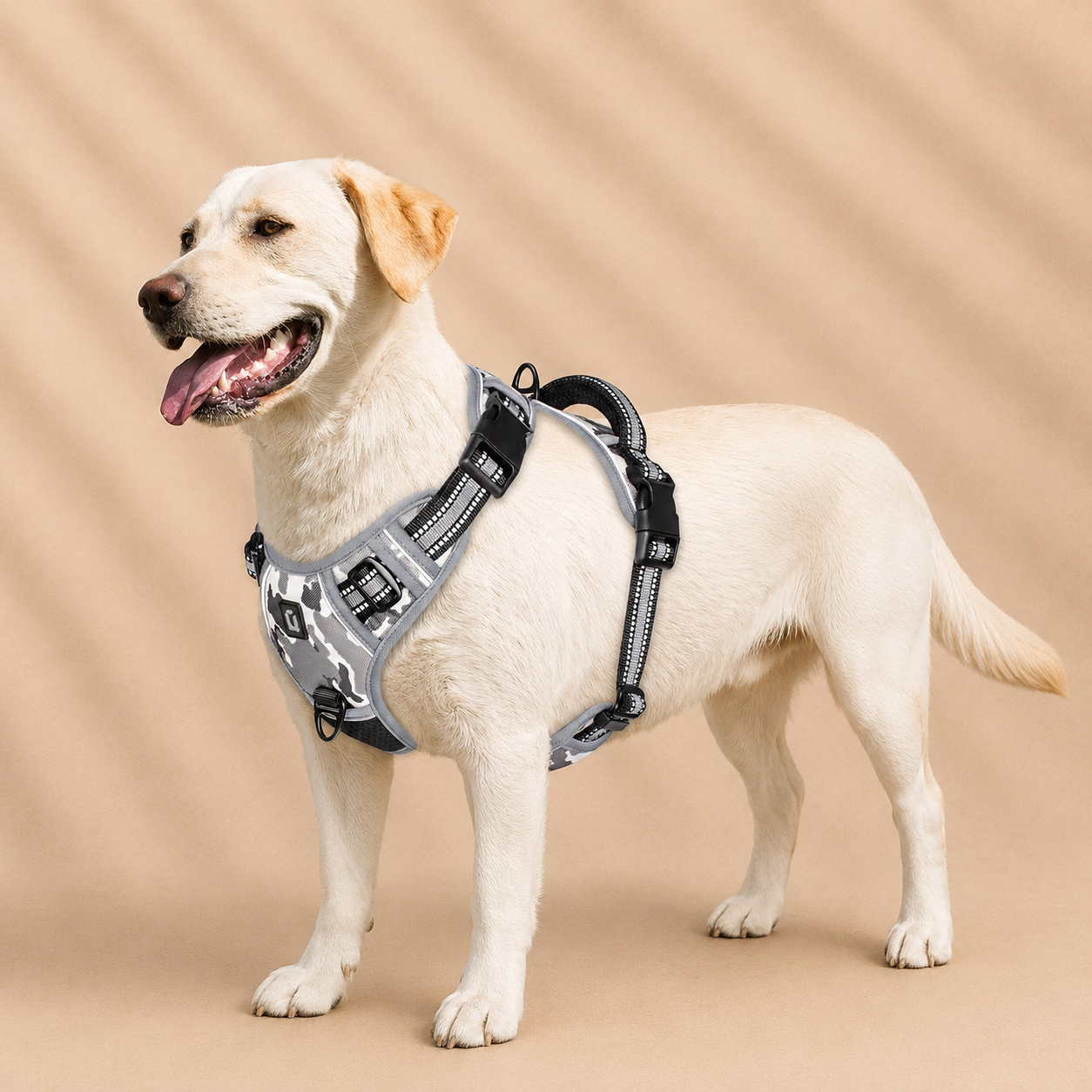 Harnais chiens anti traction