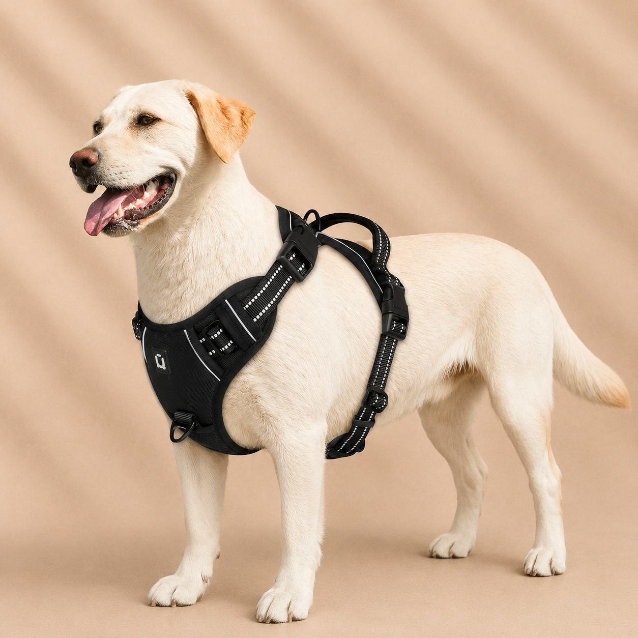 Harnais chiens anti traction