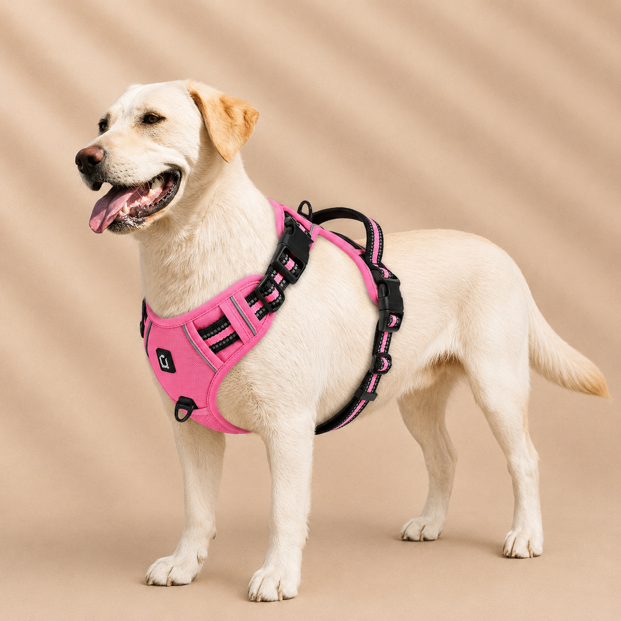 Harnais chiens anti traction