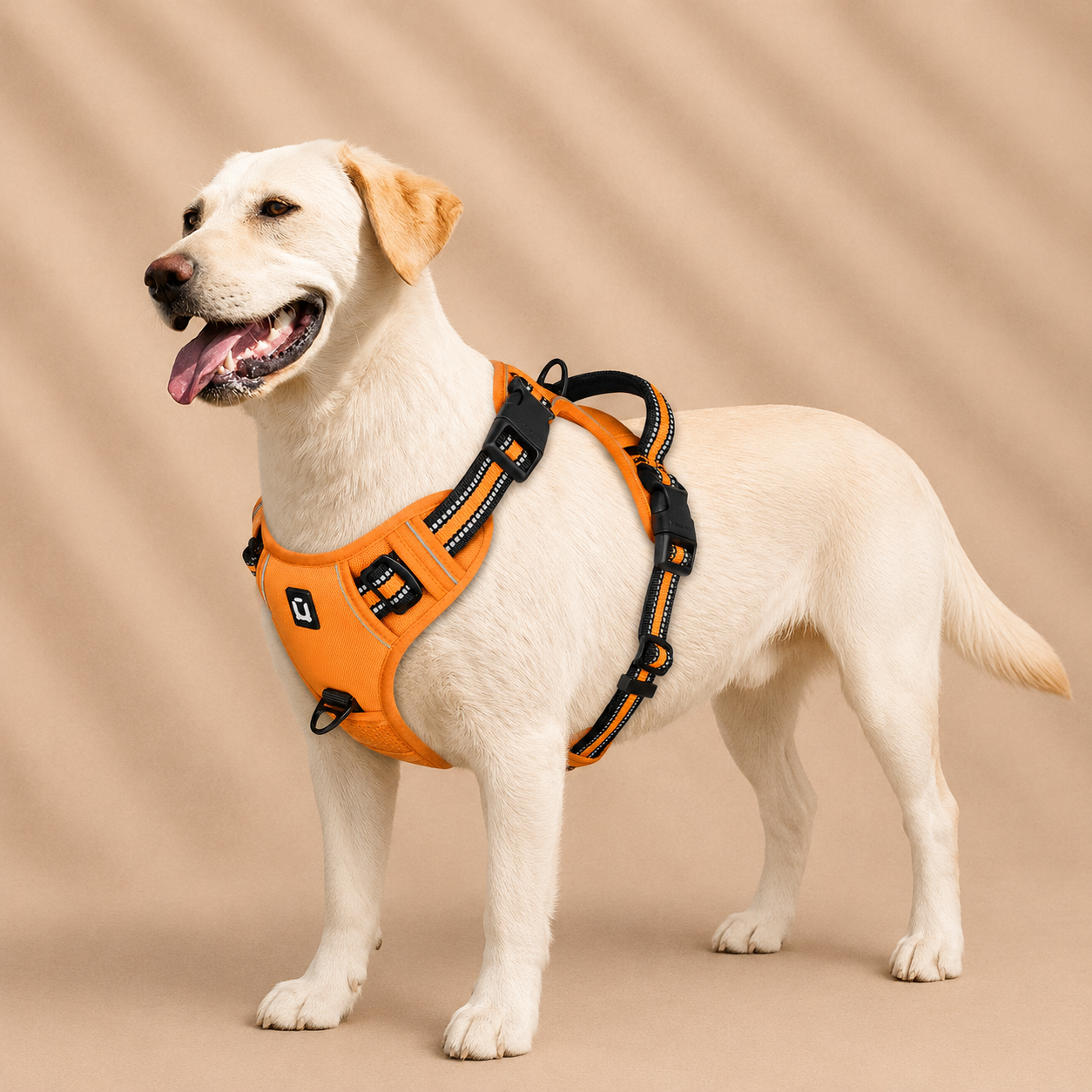 Harnais chiens anti traction