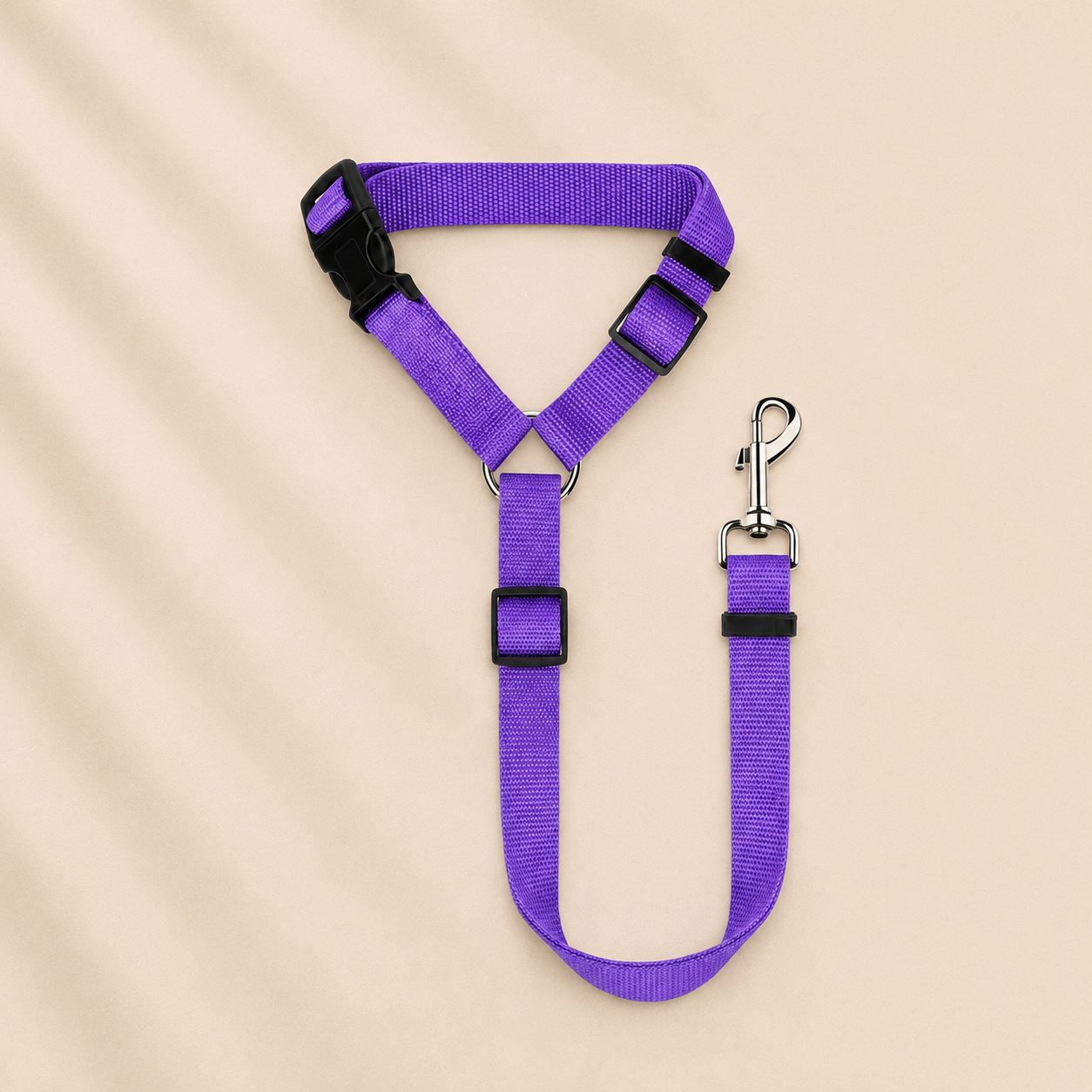 Ceinture de sécurité pour chien