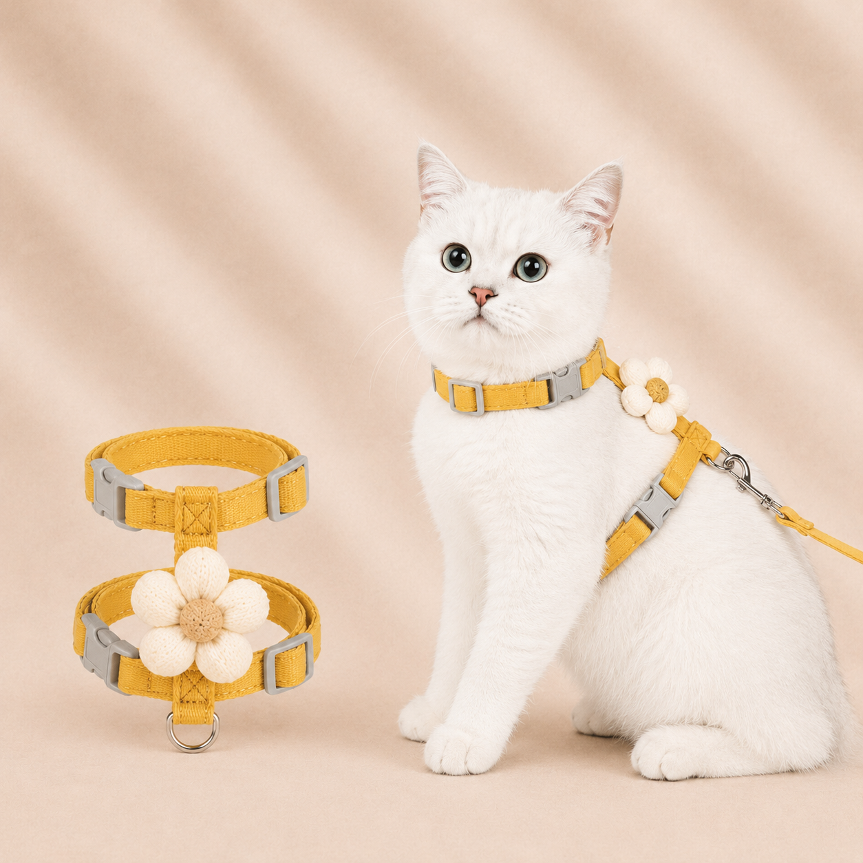 Harnais chat chic