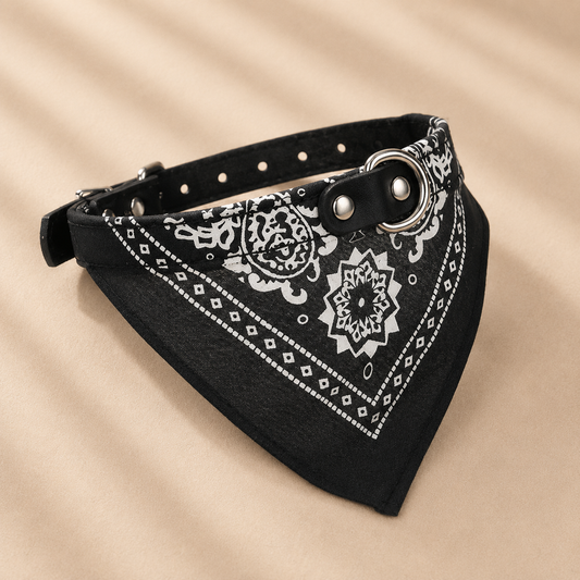 Collier bandana chien