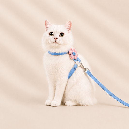 Harnais chat chic