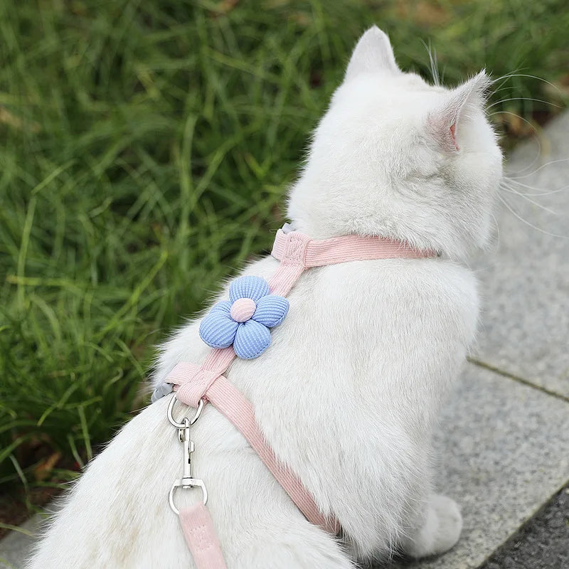 Harnais chat chic