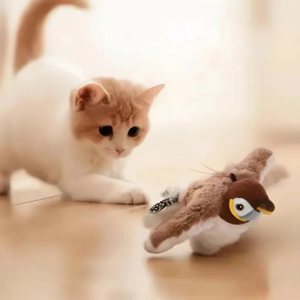 Jouet peluche pour chat