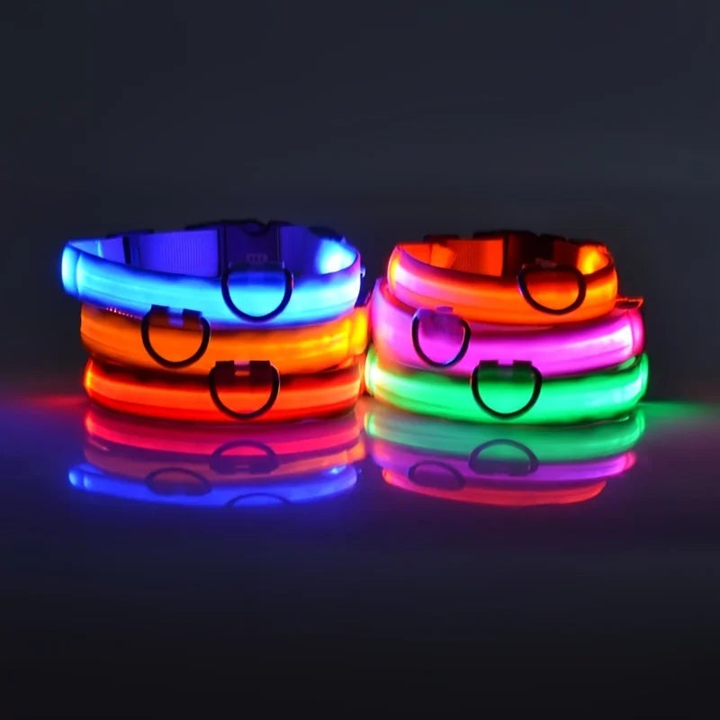 Collier lumineux chien
