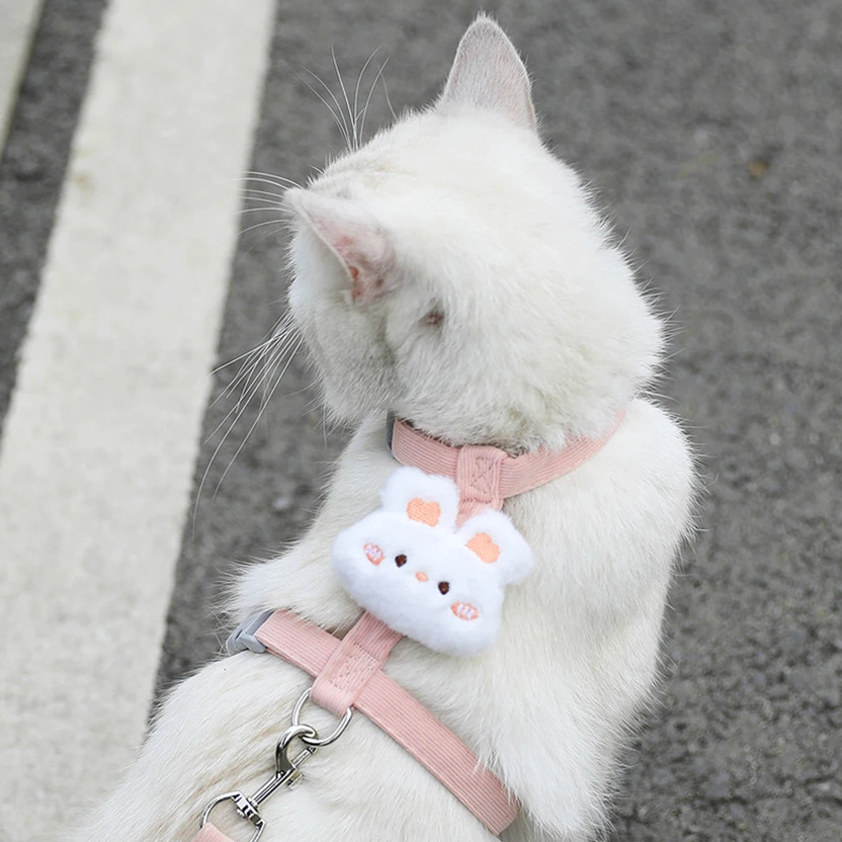 Harnais chat chic